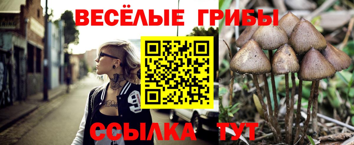 Псилоцибиновые грибы MAGIC MUSHROOMS  Вход с VPN  Кстово  Псилоцибиновые грибы Psilocybe 